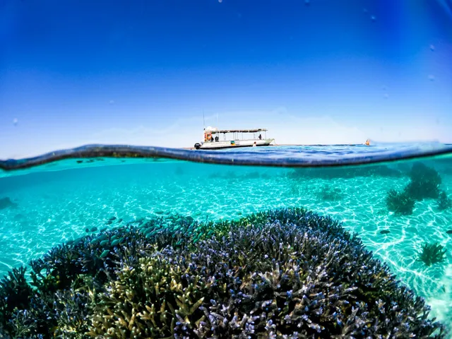 Ningaloo Glass Bottom Boat
