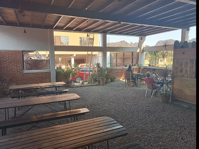 EL RETOÑO DEL MANGO