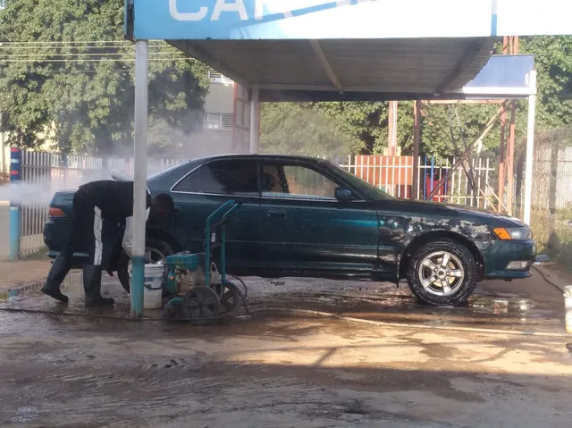 Hungry Lion Levy Junction