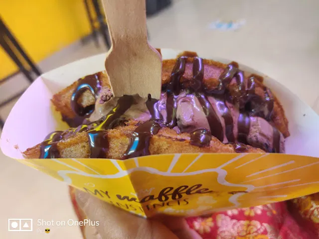 The Belgian Waffle Co.