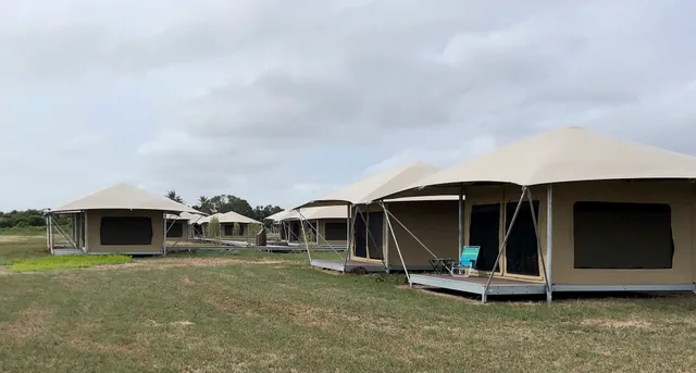 Flamingo Campground T Loop