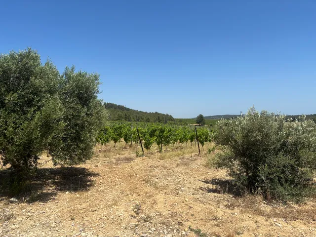 Domaine Les Plages Hautes