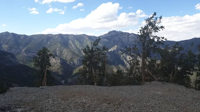 South Loop Trail Scenic Rest Area