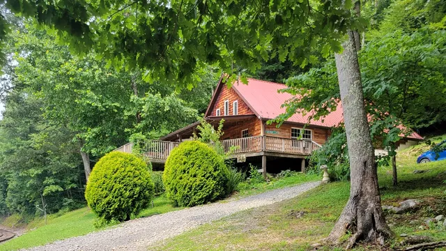 Paradise in the Woods