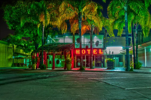 Hotel Paseo Palmas