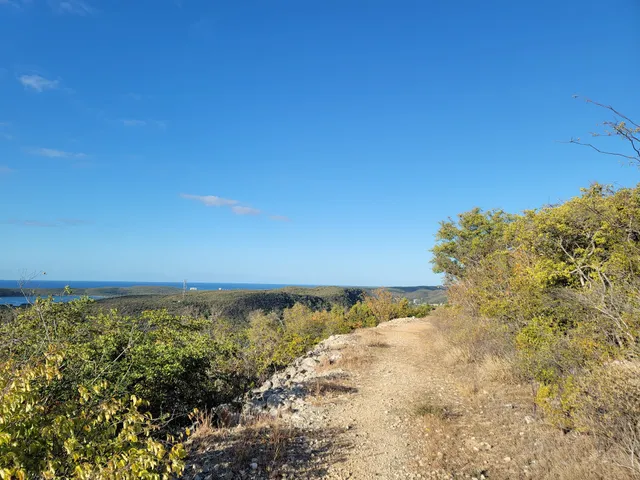 Guánica State Forest