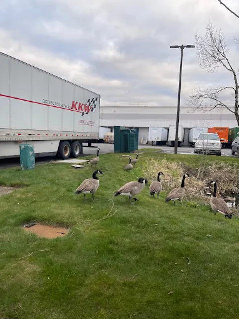 Bridgetown Natural Foods