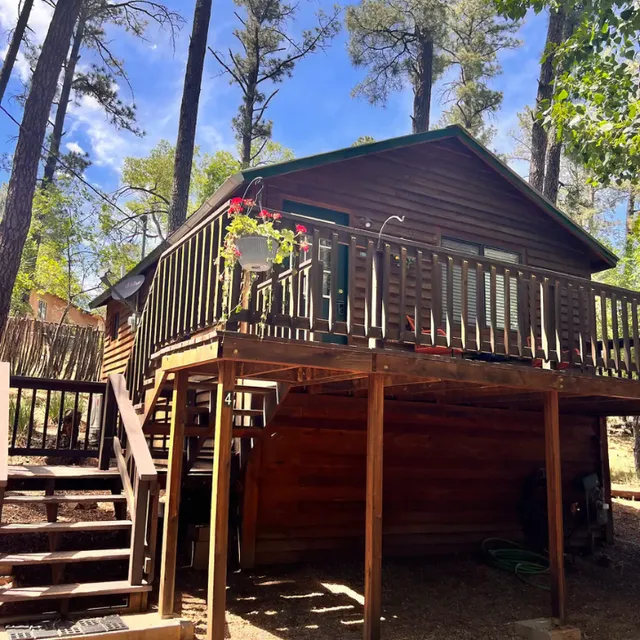Cozy Bear Cabins