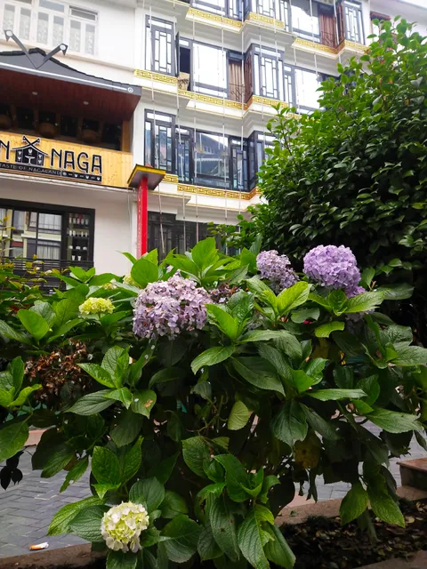 BENGALI ,Hotel Babumashai, MG MARG