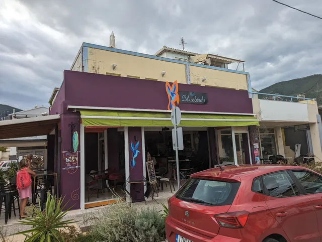 The Bluebird - Art & Music Bar