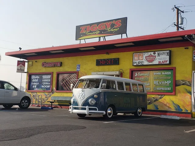 209 Ziggy's Smoke Shop/ Hobby Shop