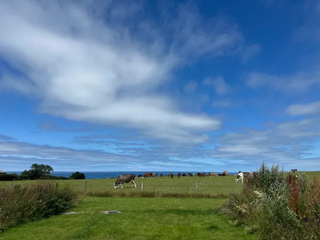 Lower bodannon glamping