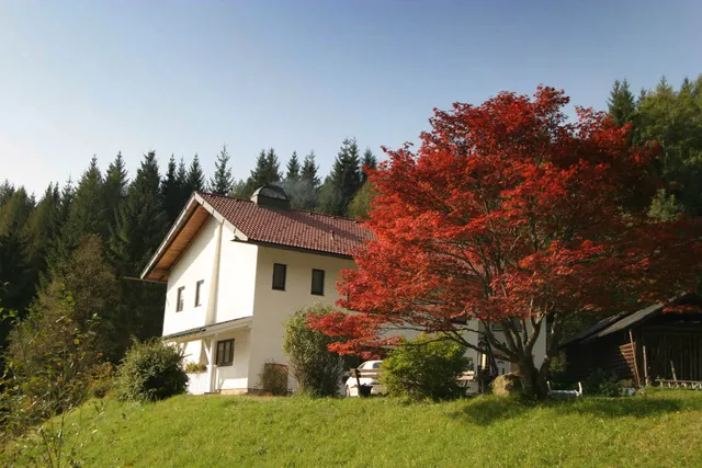 Ferienhaus Hollinger