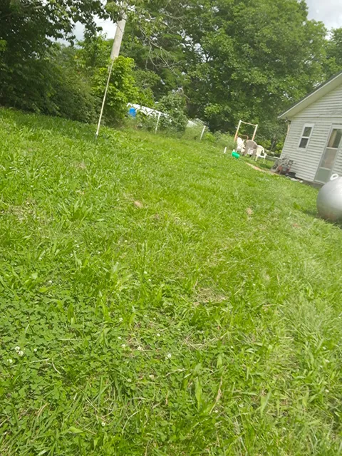 Scarlet Oaks Institute-Technology