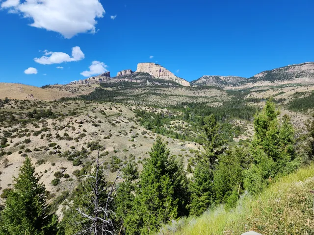 Bighorn National Forest