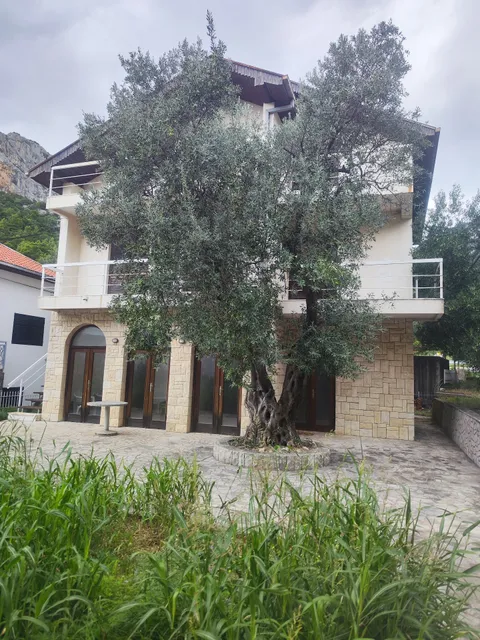 Guest house & restaurant Adriatic Klek