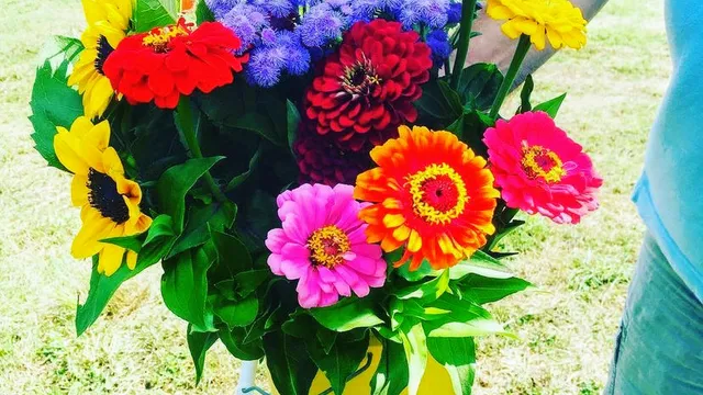 Brittany Hollow Farm