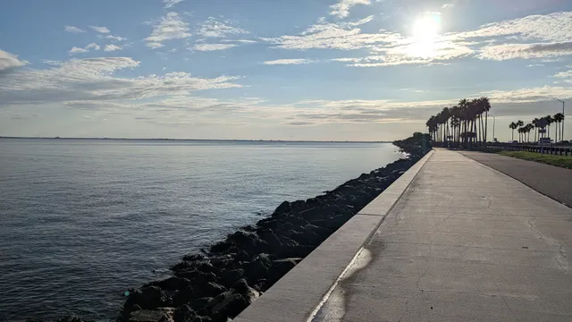 Courtney Campbell Trail