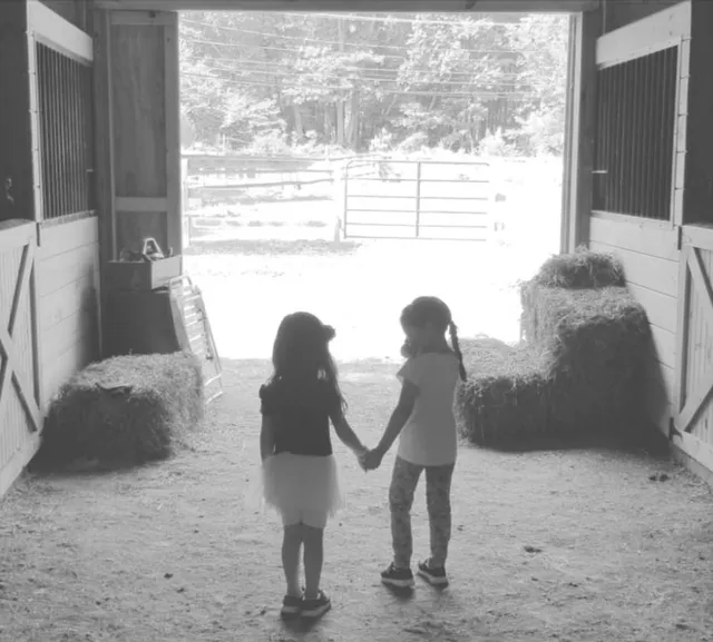 10 Lil' Acre Rescued Animal Farm