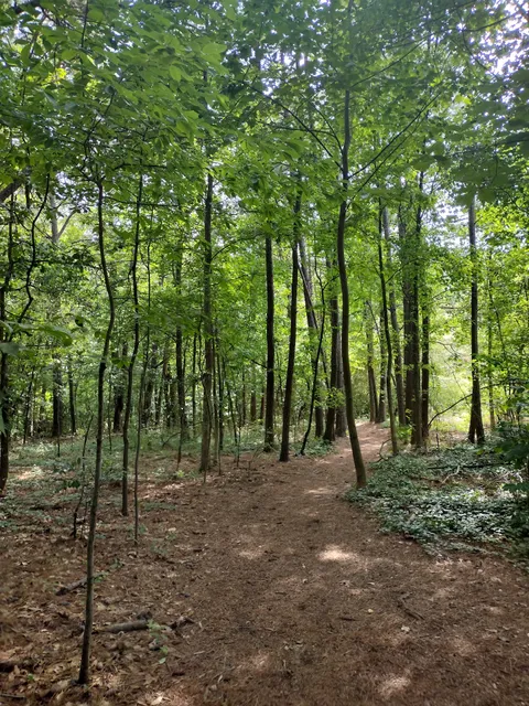 Ashford Forest Preserve
