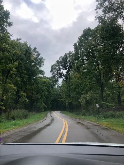 Waupun Park Maple Forest State Natural Area