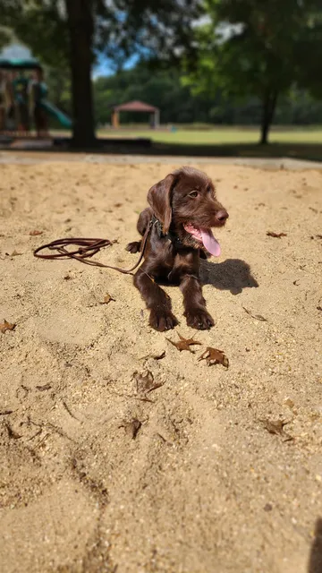 Steelville City Park