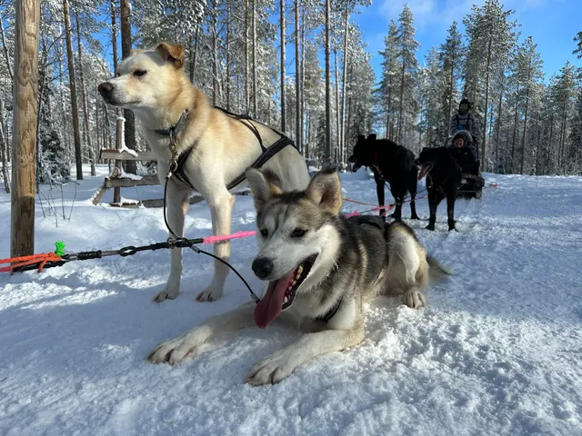 Arctic Circle Snowmobile park