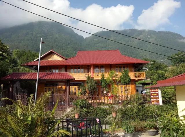 Sáu Mèo Mountain View