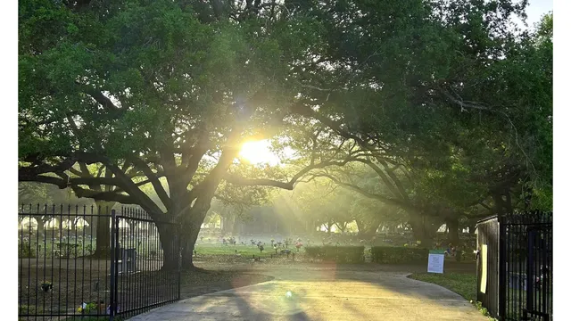 Forest Lawn Cemetery