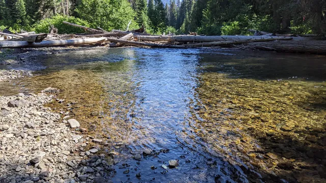 Salmon Cove Group Site