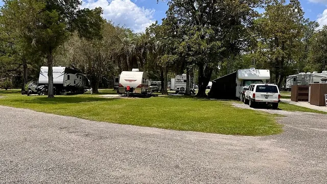 Big Tree RV Park