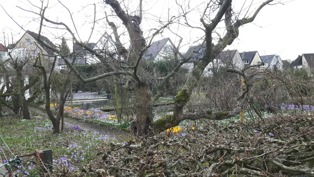 KGV Essen West Postreitweg