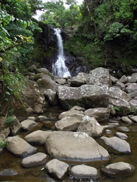 Rara Avis Rainforest Lodge