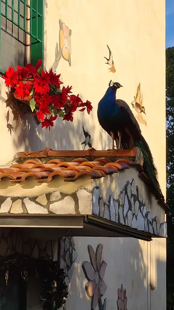 Alloggio per Turismo 'Casa da Francesca'