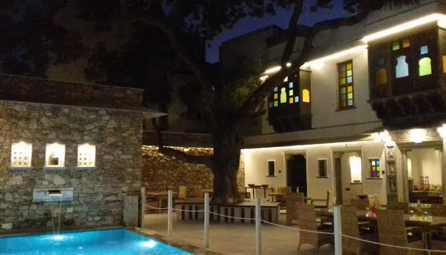 The Neem Tree Udaipur