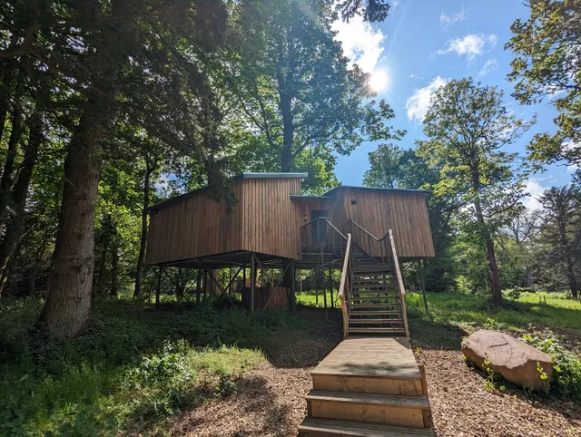 The Treehouses at Leckie