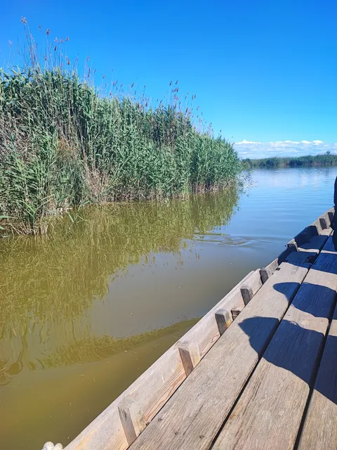 Albufera de València