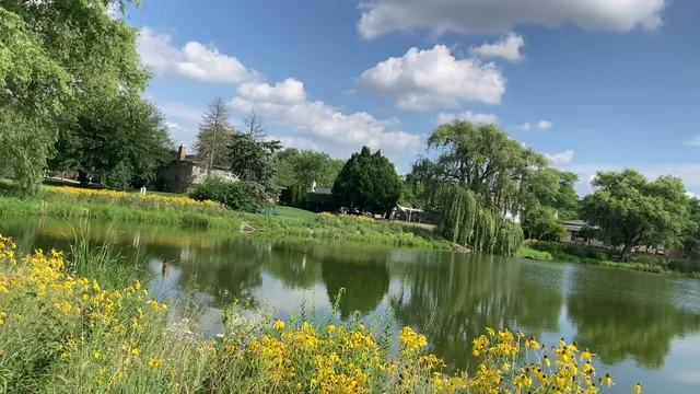 Birchwood Park Playground