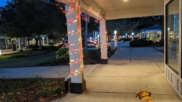 Shoppes at Thornebrook