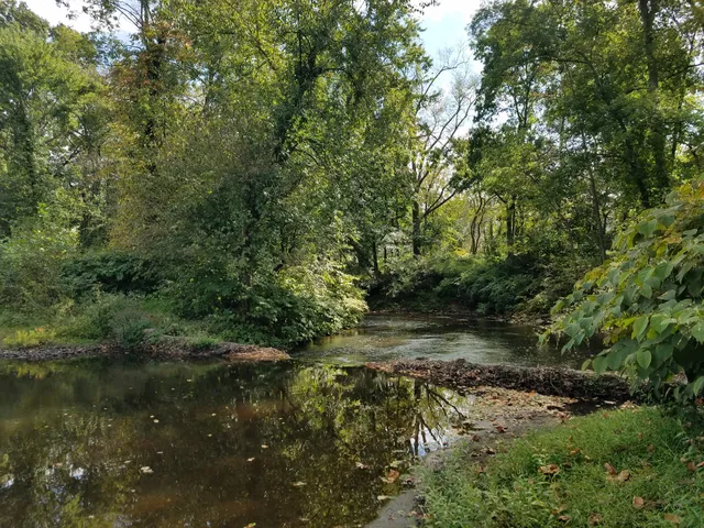 Medford Park / Bunning Field
