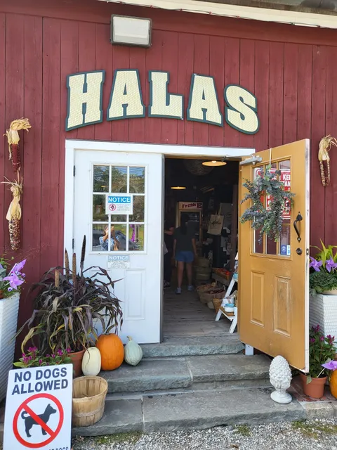 Halas Farm Market