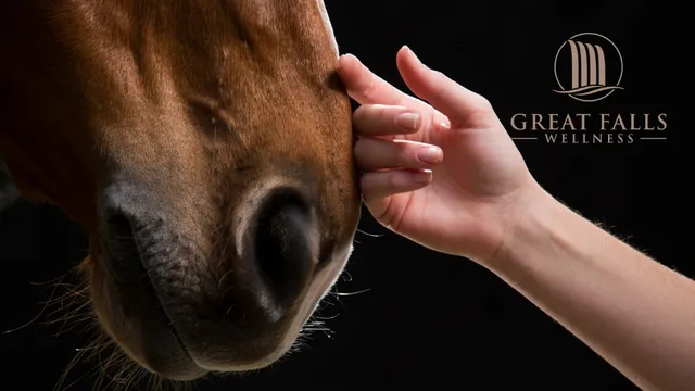 Great Falls Wellness