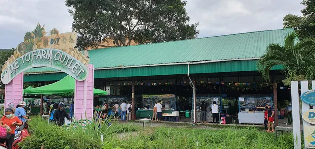 Saturday Organic Market