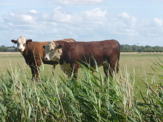 Hauke Peters und Dörte Peters