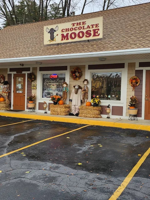 Chocolate Moose