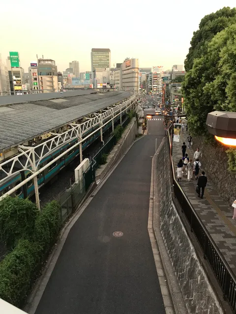 Ueno Panda Bridge