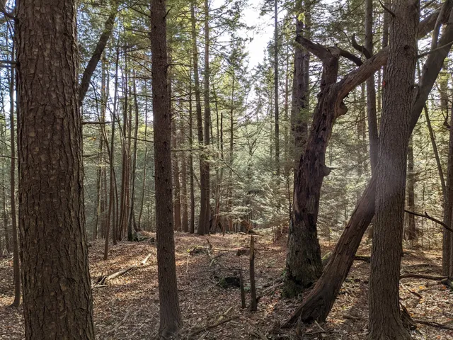Retreat Tower Trailhead