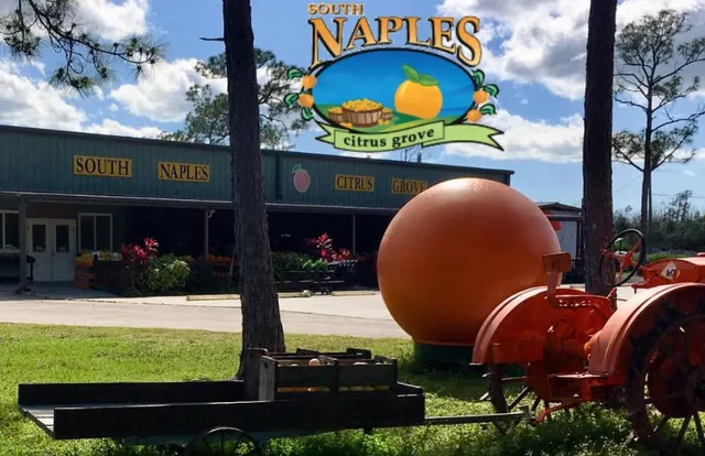 South Naples Citrus Grove
