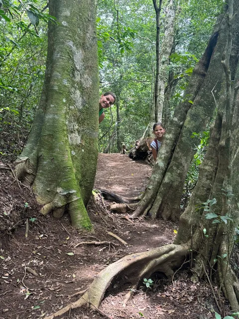 Children's Eternal Rain Forest Bajo del Tigre
