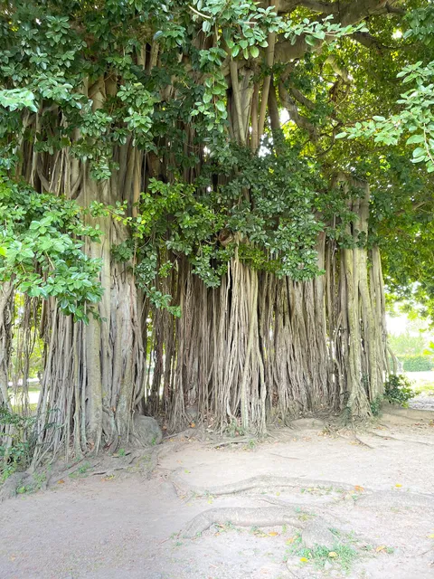 Botanical Gardens Gazebo